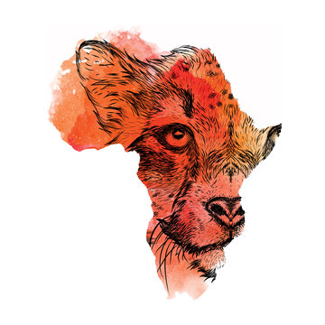 Ethnic hand drawing head of cheetah in the vector map of Africa. Vector illustration. Abstract Background with Watercolor Stains