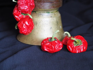 ñoras o pimientos rojos enanos