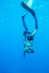 spearfishing in ocean