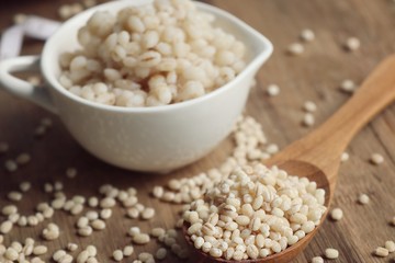 barley seed