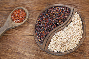 Seeds of white, red and black quinoa - Chenopodium quinoa