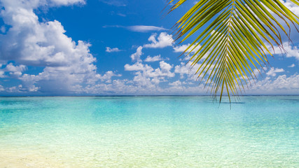 Fototapeta na wymiar Perfect beach landscape with calm sea and palm trees