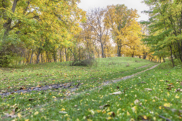 Naklejka premium Beautiful autumn scenery