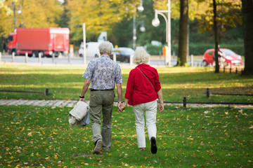 A loving elderly couple is walking in the park. Senior people holding hands. Back view.