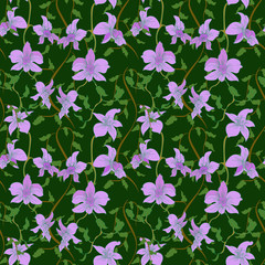 seamless pattern with lianas and orchids on a dark green background