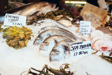 Freshly caught Sea Bream fishes and other seafood