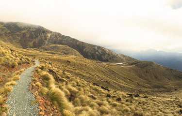 Trail of Kepler Track, New Zealand