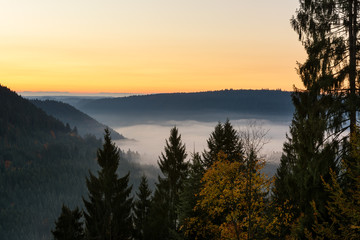 Autumn landscape - Black Forest. View over the autumnal Black Forest at sunrise.