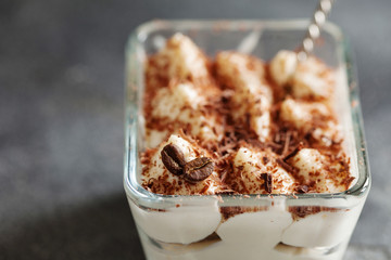 Tiramisu dessert cake in portion bowl
