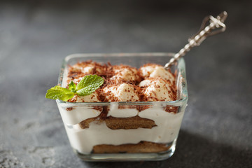Tiramisu dessert cake in portion bowl