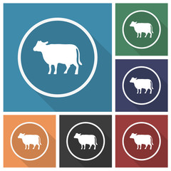 Button - Set - Schatten - Rind