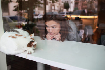 girl meet the cat in the cat cafe
