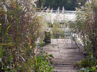 beautiful reeds pontoon wooden platform fishing lake empty