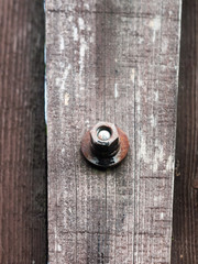 close up of old rusty screw head on rustic wooden fence