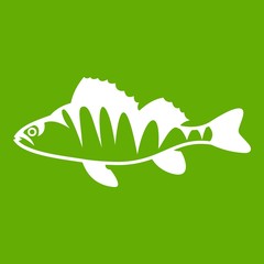 Fototapeta premium European perch, Perca fluviatilis icon green