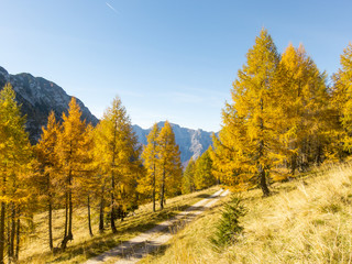 Autumn mountain landscape, Italy