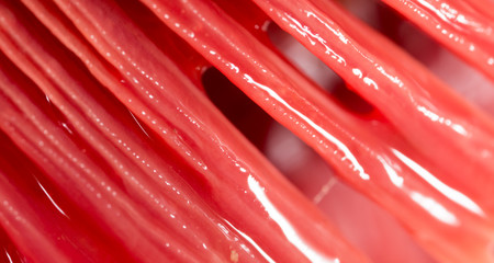 Fototapeta premium red gills of fish as background. macro