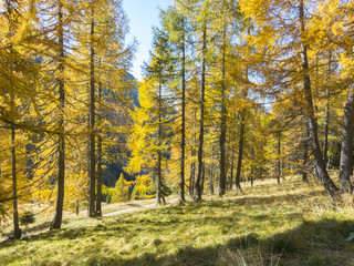 Autumn mountain landscape, Italy