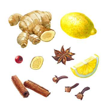 Lemon, giger and winter spices isolated on white watercolor illustration set