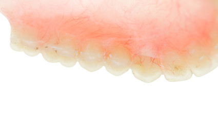 false teeth on a white background