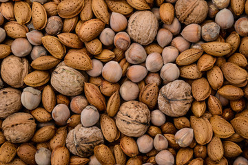 Walnut background, walnut, almonds and hazelnut