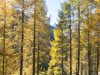 Fototapeta premium Autumn mountain landscape, Italy