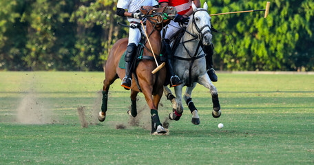 Horse Polo Player battle 