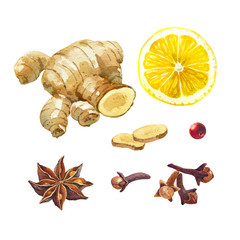 Lemon, giger and winter spices isolated on white watercolor illustration set