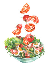 A plate of vegetable salad, tomatoes, greens, cucumbers, onions, olives, eggs, dill, parsley, cherry tomatoes. Handmade drawing on white isolated background.