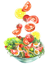A plate of vegetable salad, tomatoes, greens, lemon, cucumbers, onions, olives, eggs, dill, parsley, cherry tomatoes. Handmade drawing on white isolated background.