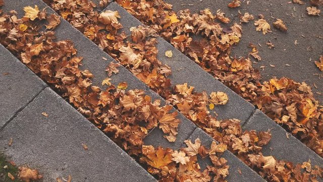 Stone steps stairs in city alley covered by dead fallen leaves. Dynamic scene. Toned 4k video.