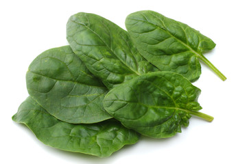 spinach leaves isolate on white background top view
