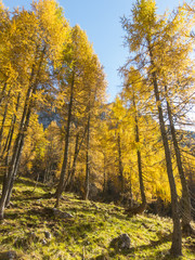 Fototapeta premium Autumn mountain landscape, Italy