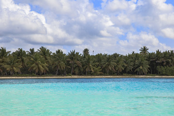 beach, ocean, Dominican republic, island, sea, Caribbean sea, tropical, cloudy, sky, palms,  sand, relax, 