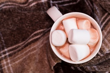 Hot chocolate with marsmallows