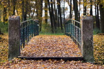 Bridge with autumn leaves