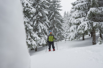 Happy traveler stands among a huge fir trees