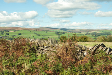 Naklejka premium Welsh countryside and old dry stone wall in the autumn around the Brecon beacons of the United Kingdom.