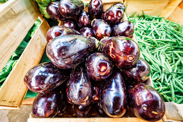 Aubergine or eggplants and other vegetables placed on the shelf in grocery market.