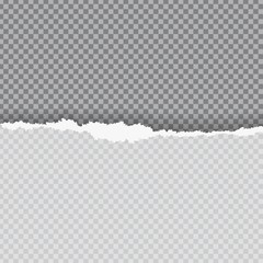 Torn paper with ripped edge