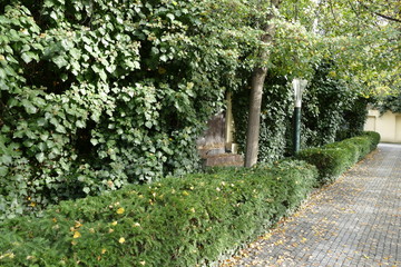 calm corner in a city park