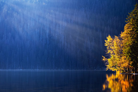 Black Lake In Bohemian Forest In Czech Republic