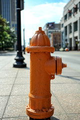 pomarańczowy hydrant - obrazy, fototapety, plakaty