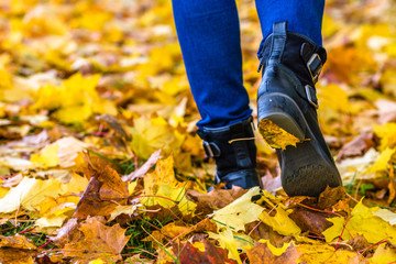 Female shoes for autumn, fashion for woman, legs in shoes walking in leaves at fall