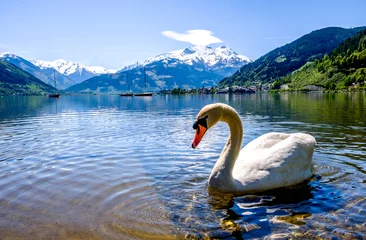 Fotobehang Zeller See in Oostenrijk © fottoo