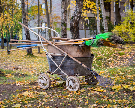 Wheelbarrow and rake for harvesting fallen leaves