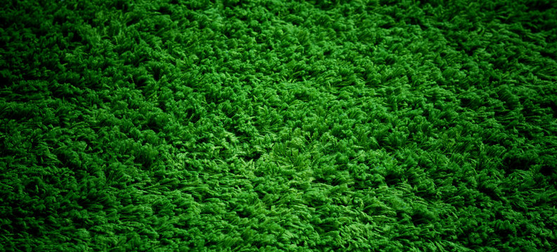 Green Carpet Background