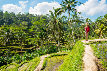Rizières en terrasses à Tagallalang - Bali, Indonésie.