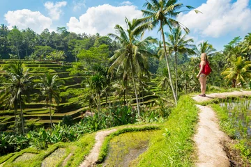 Wall murals Indonesia Rice terraces in Tagallalang - Bali, Indonesia.
