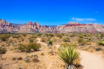 Desert Trail at Red Rock Canyon National Conservation Area